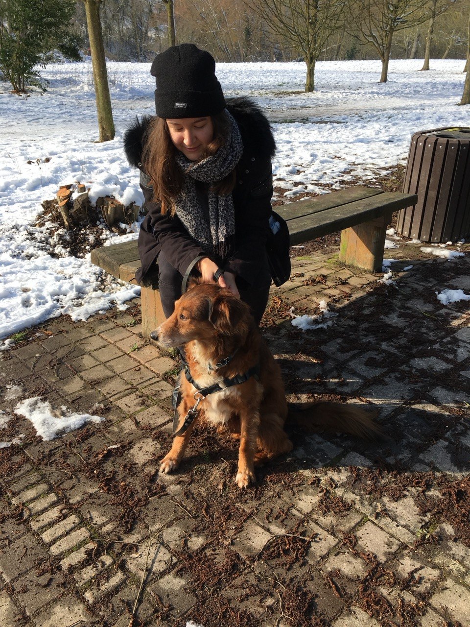 Marion Rahaingomanana promenant un chien dans la neige